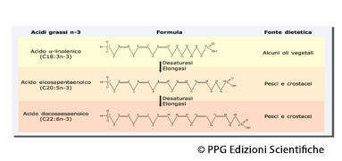 acidi-grassi-omega-3